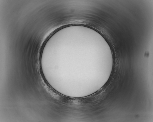 X0000111650792200908071406
