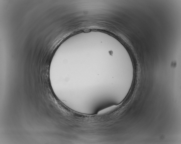 X0000111650793200908071406
