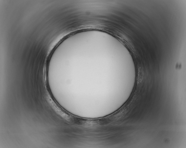 X0000111650796200908071406