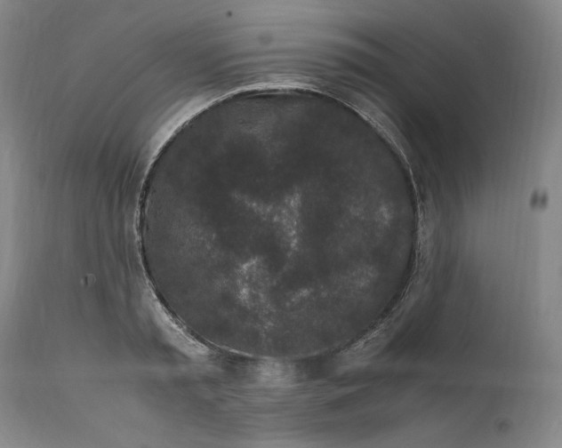 X0000111650797200908071406