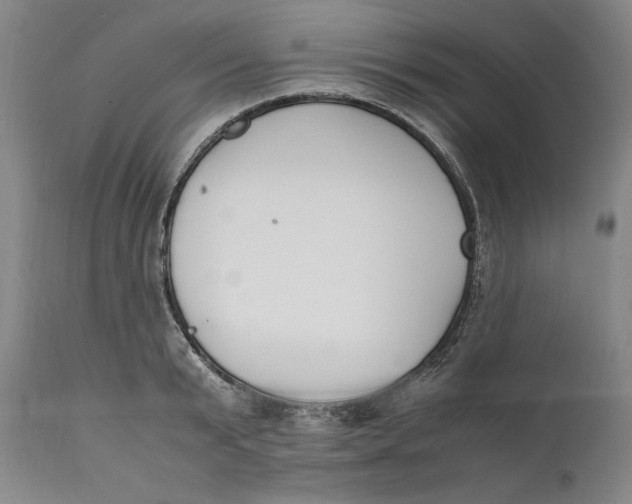 X0000111650799200908071406