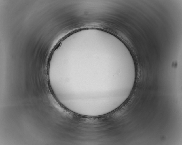 X0000111650800200908071406