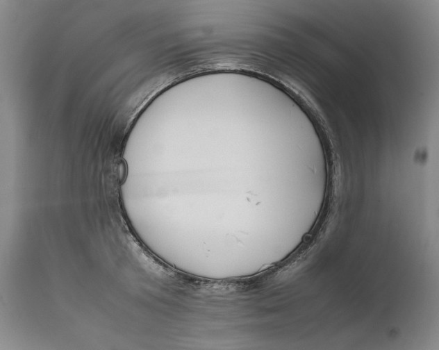 X0000111650801200908071406
