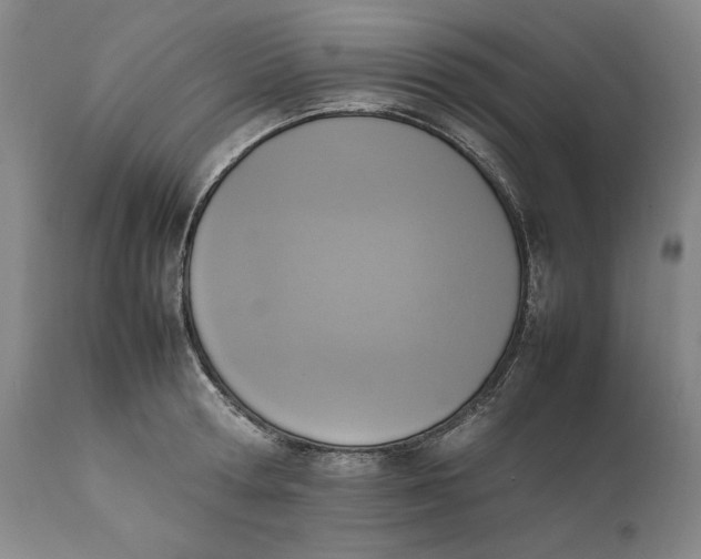 X0000111650802200908071406