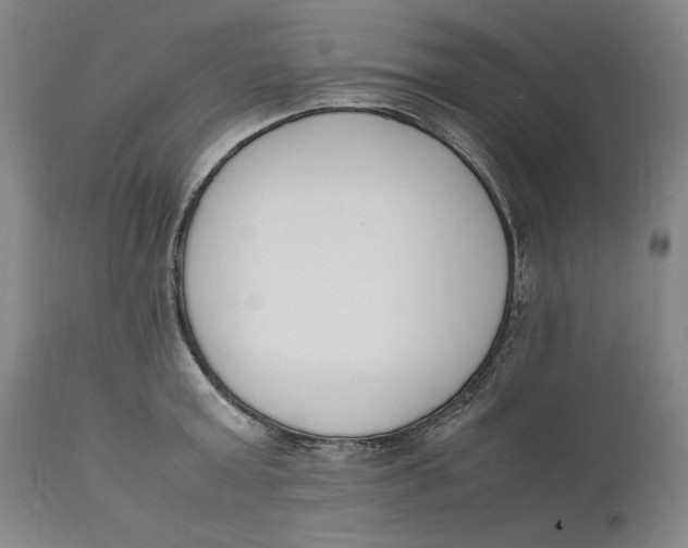 X0000111650803200908071406