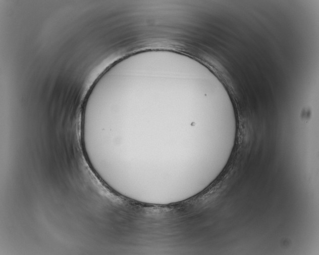 X0000111650804200908071406