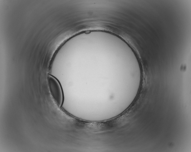 X0000111650805200908071406