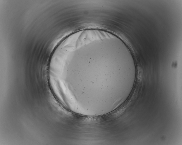 X0000111650806200908071406