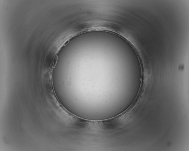 X0000111650809200908071406
