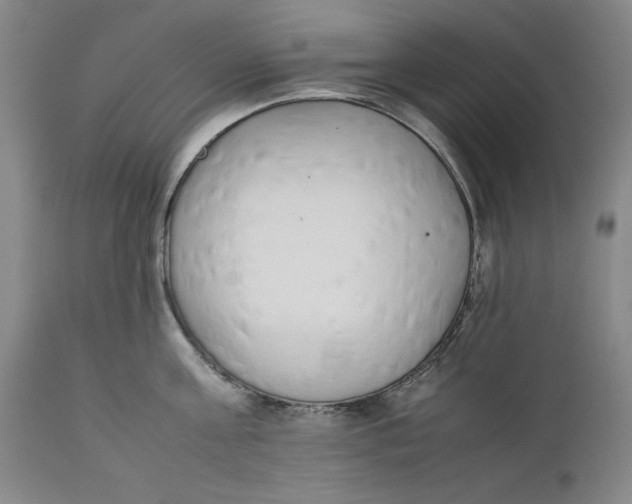 X0000111650811200908071406
