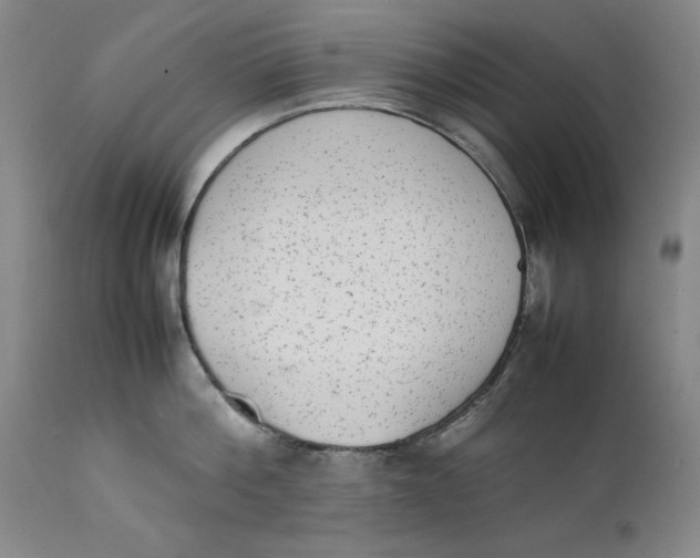 X0000111650812200908071406