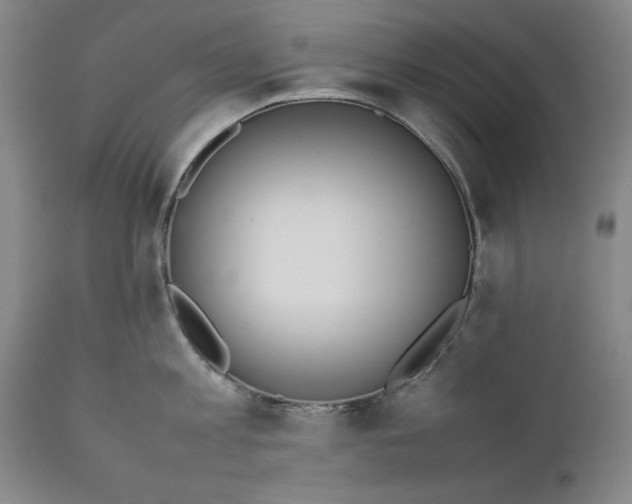X0000111650813200908071406