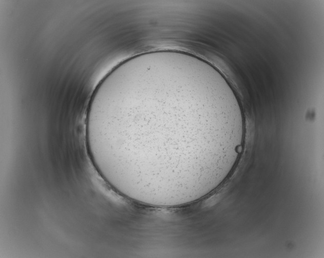 X0000111650814200908071406