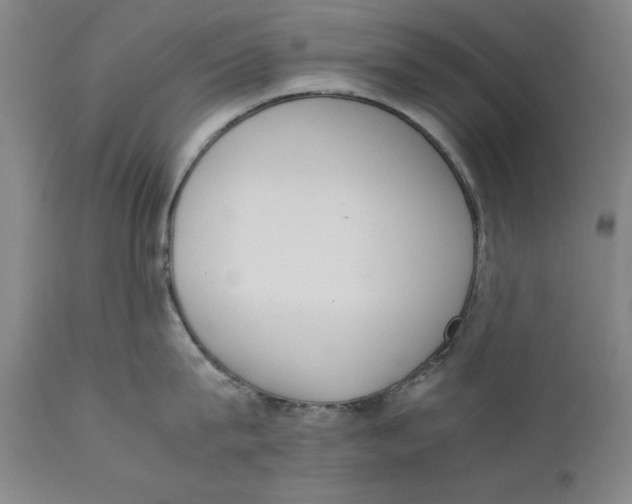 X0000111650815200908071406