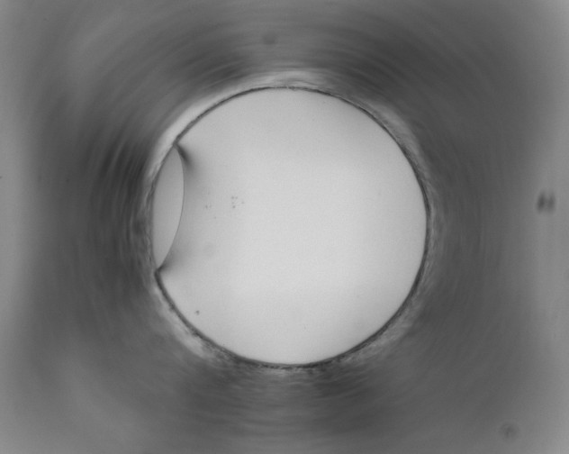 X0000111650816200908071406