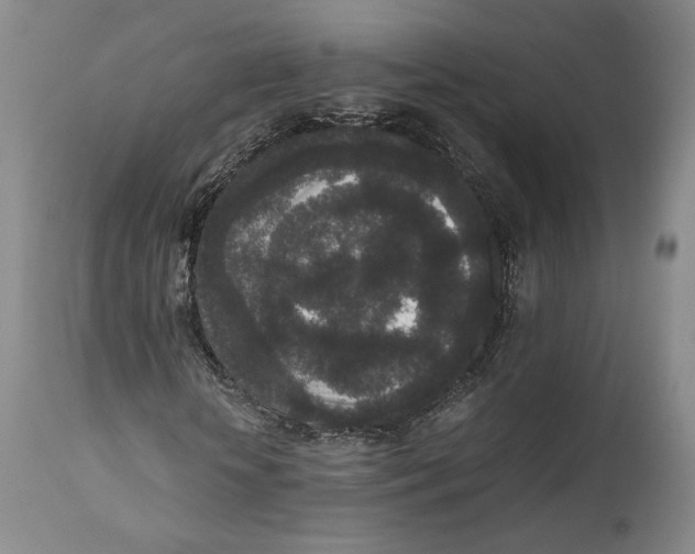 X0000111650818200908071405