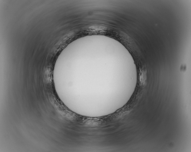 X0000111650819200908071405