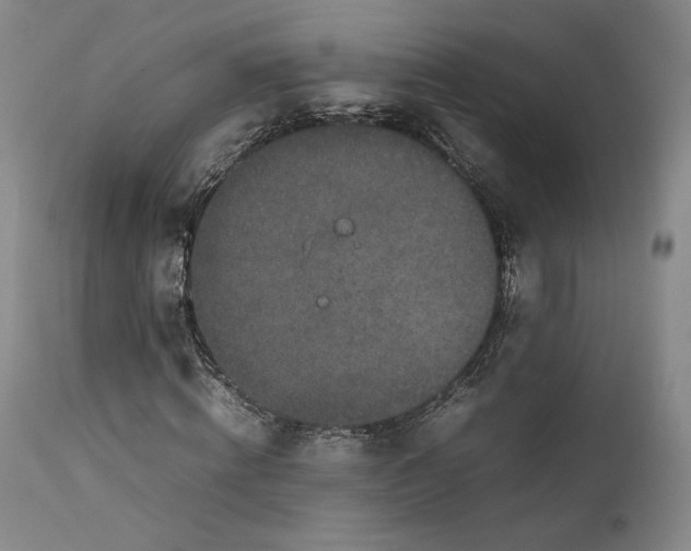 X0000111650820200908071405