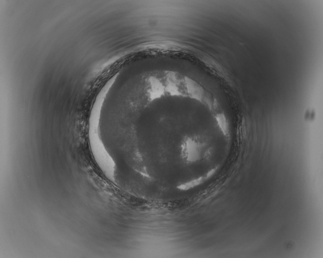 X0000111650822200908071405