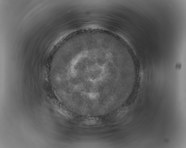 X0000111650823200908071405
