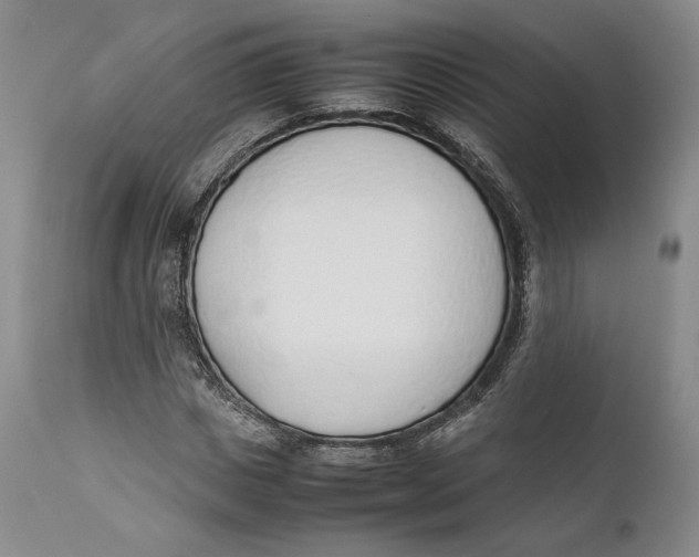 X0000111650825200908071405