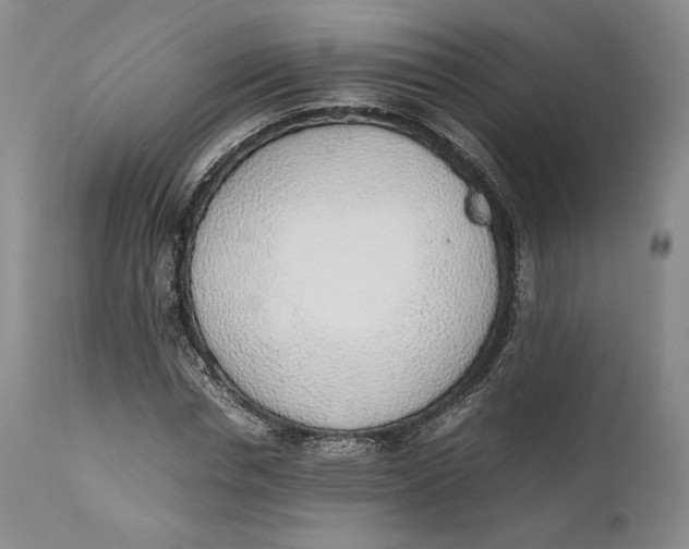 X0000111650826200908071405