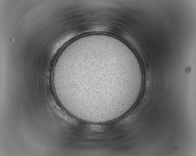 X0000111650827200908071405