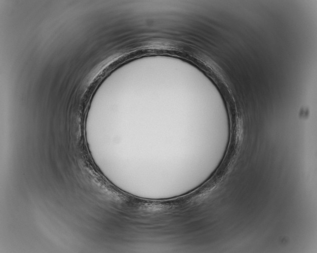X0000111650829200908071405