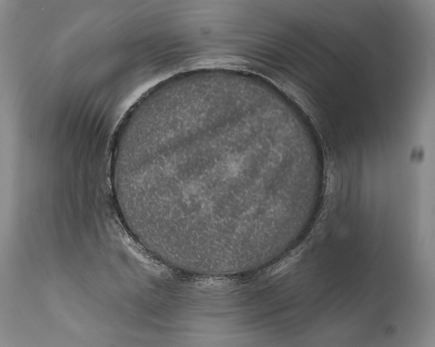 X0000111650830200908071405