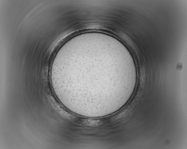 X0000111650831200908071405