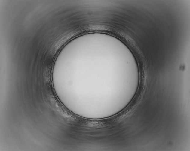 X0000111650833200908071405