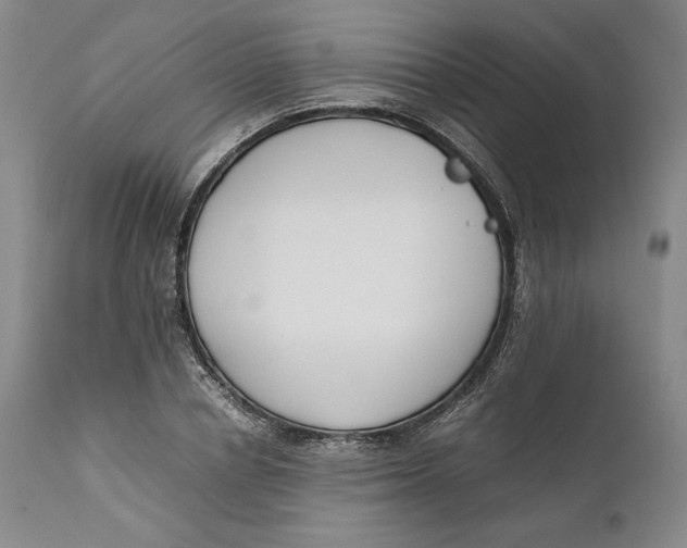 X0000111650834200908071405