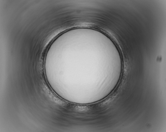 X0000111650835200908071405