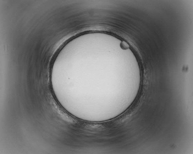 X0000111650837200908071405