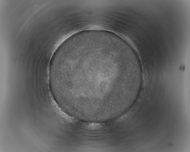 X0000111650839200908071405