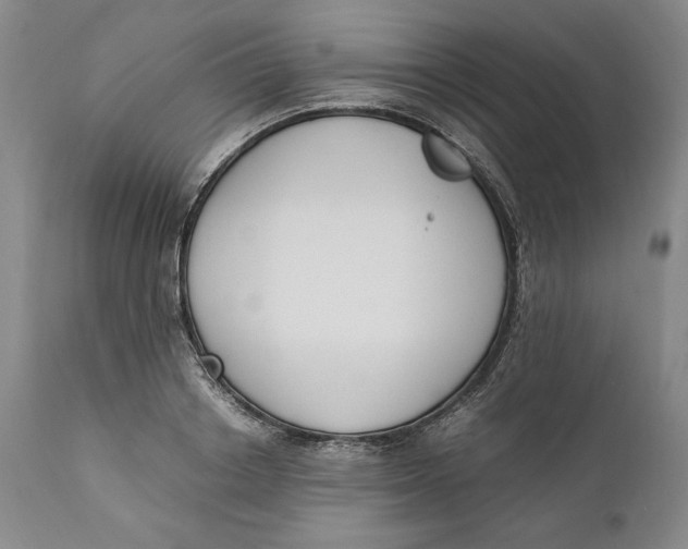 X0000111650842200908071405