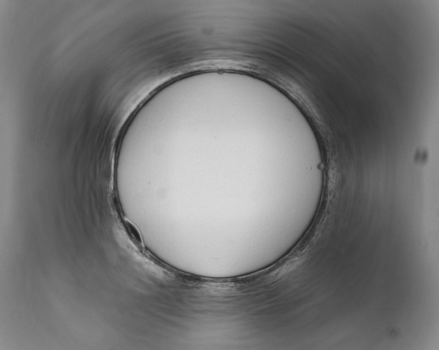 X0000111650844200908071405
