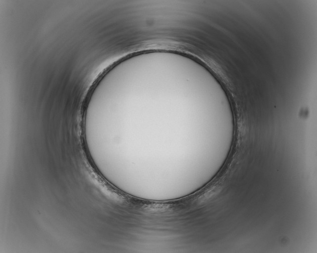 X0000111650846200908071405