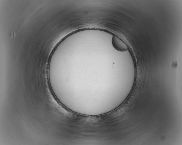 X0000111650847200908071405