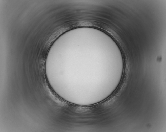 X0000111650849200908071406