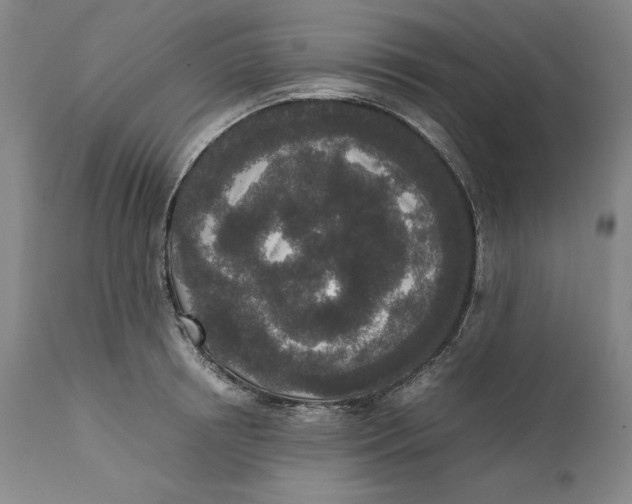 X0000111650850200908071406