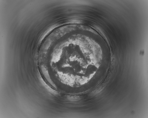 X0000111650851200908071406