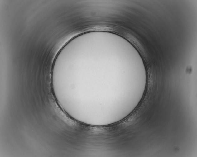 X0000111650852200908071406