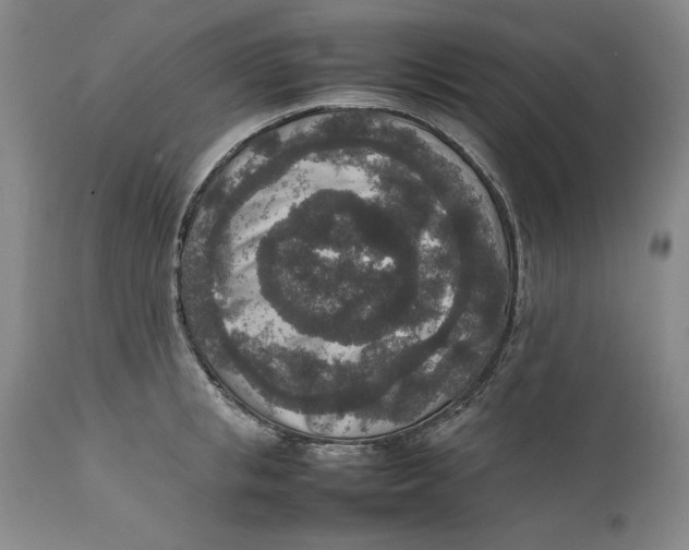 X0000111650853200908071406