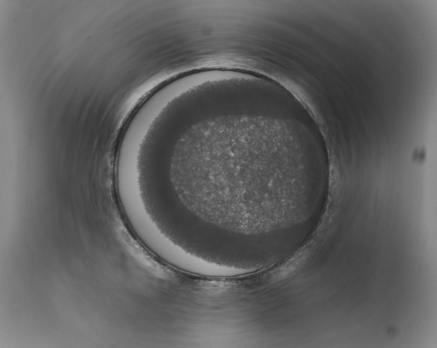 X0000111650854200908071406