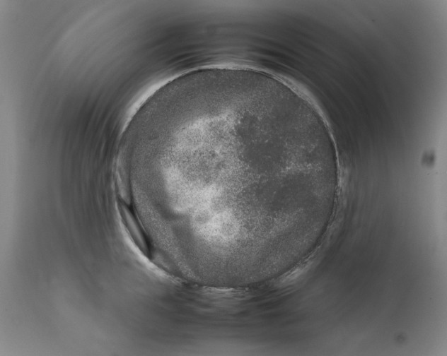 X0000111650855200908071406