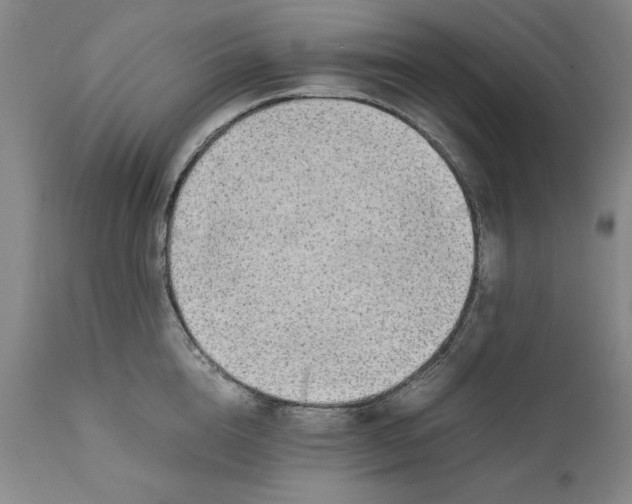 X0000111650856200908071406
