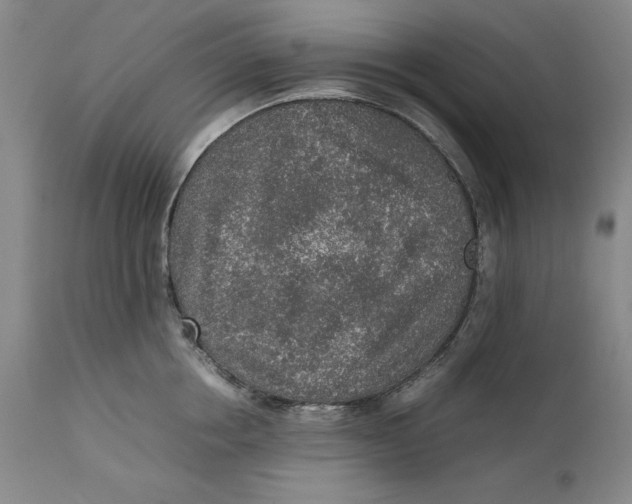 X0000111650858200908071406