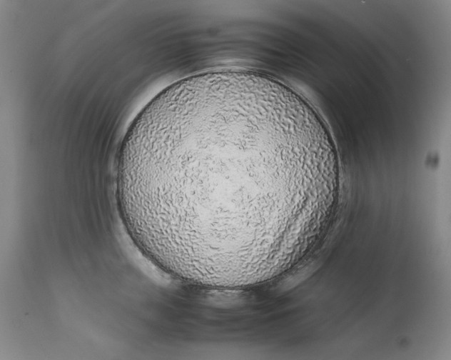 X0000111650859200908071406