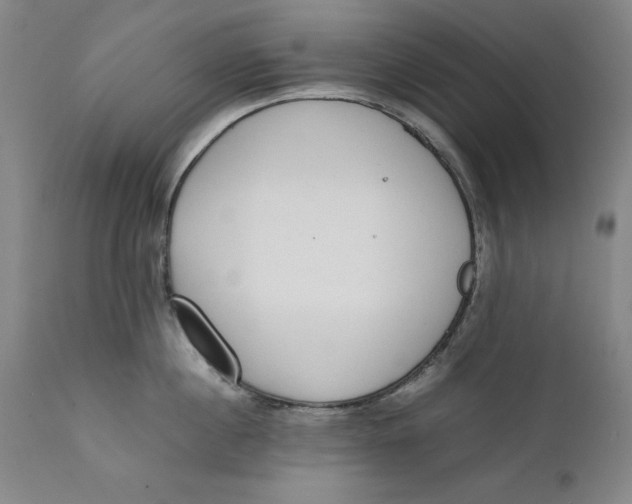 X0000111650860200908071406